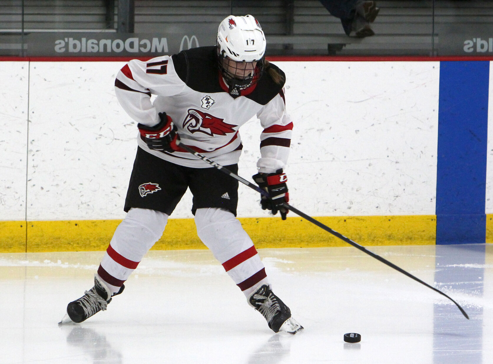Hudson at Chippewa Falls/Menomonie girls hockey 1-17-23